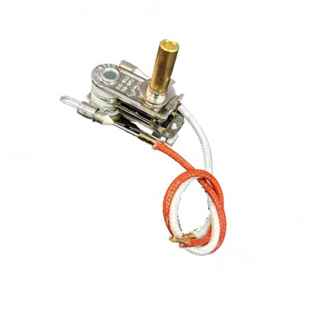 Termostato + Termofusibile Originale Polti Ferri Da Stiro Caldaia