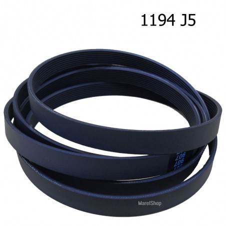 Cinghia 1194 J5 per Lavatrice Ariston Indesit C00144656