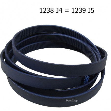 Cinghia lavatrice Whirlpool-Ignis-Bauknecht 1238 J4 / 1239 J5 481235818215