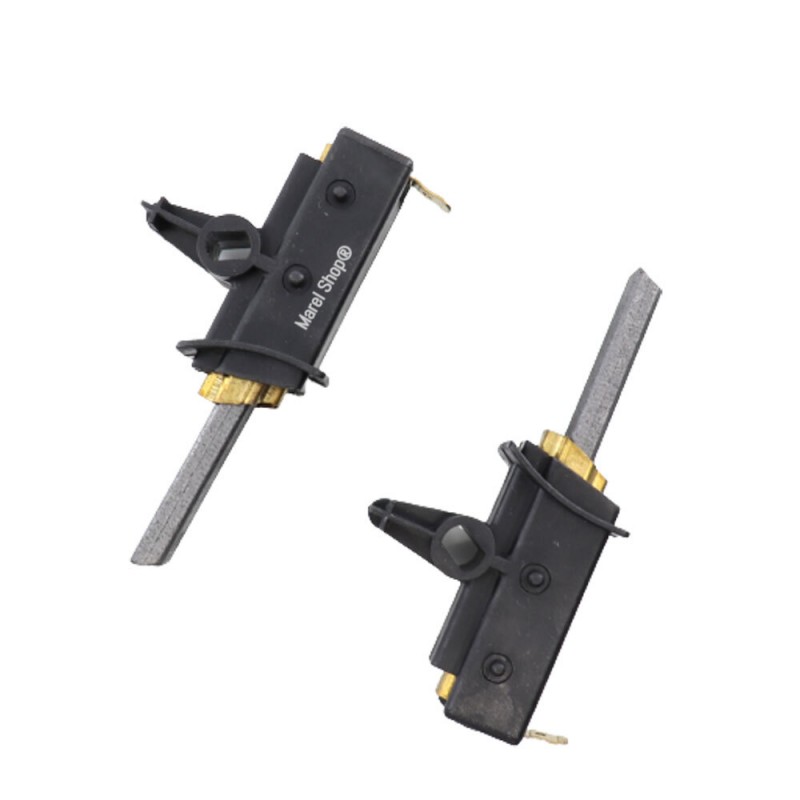 Kit 2 Pezzi Carboncini con Viti Spazzole per Motore Lavatrice Ariston Indesit C00196541