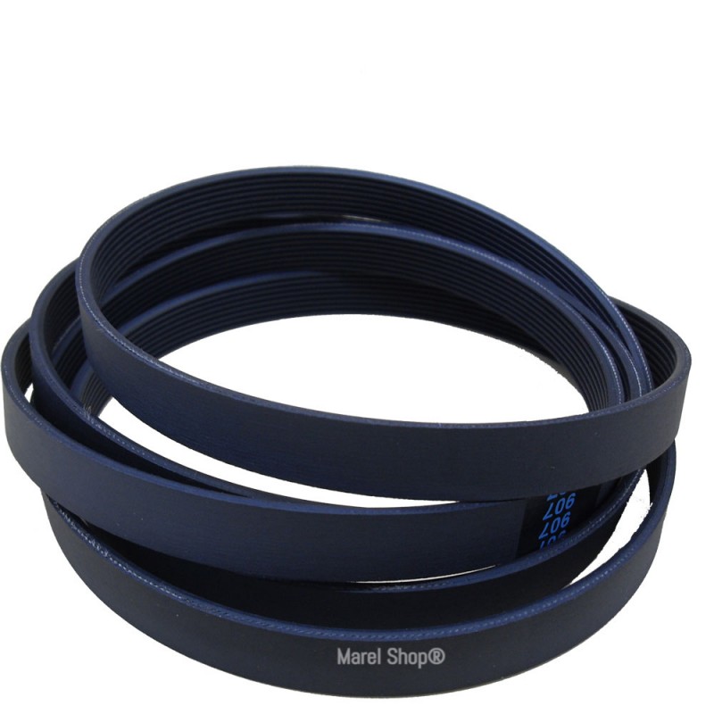 Cinghia 1230 H8 Uguale 1231 H8 per Cesto Lavatrice Candy Hoover 41003164