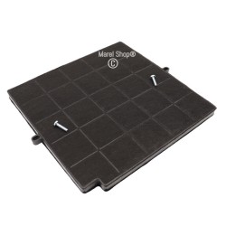 Filtro ai Carboni Attivi Antiodore con Viti TYPE F16CS 265 x 240 x 257 mm per Cappa Elica Airforce Whirlpool Electrolux AEG F004