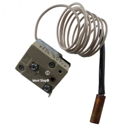 Termostato Regolabile Temperatura MAX 81° MIN 40° per Lavatrice San Giorgio ITWash 39501000800