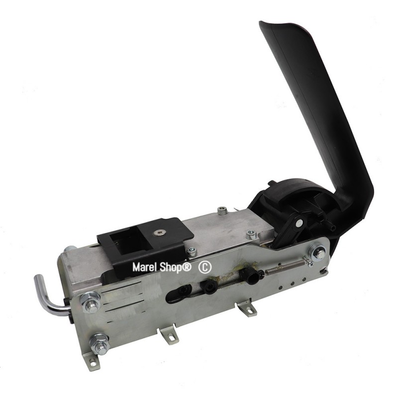 Gruppo caldaia completo per macchina da caffè Didiesse Frog Pagoda Revolution