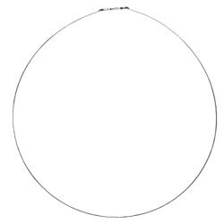 Anello Fascetta Anteriore per Guarnizione Oblò Ariston Indesit C00119210