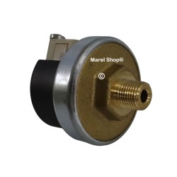 Pressostato per Ferri da Stiro Maschio con Attacco da 1/8" 2,8 BAR Q013