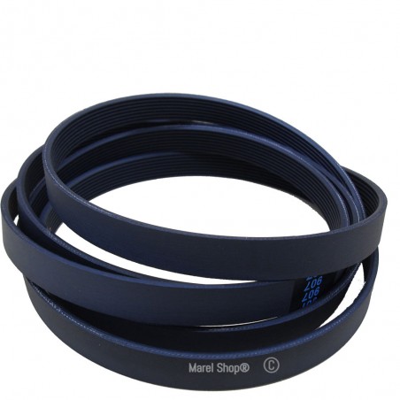 Cinghia per Lavatrice 1185 H8