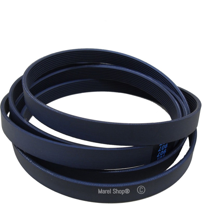 Cinghia per Lavatrice 1185 H7